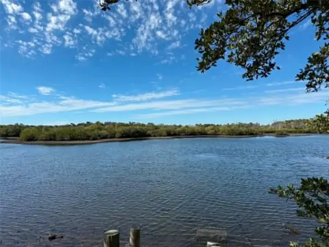 Waterfront Land with River Access