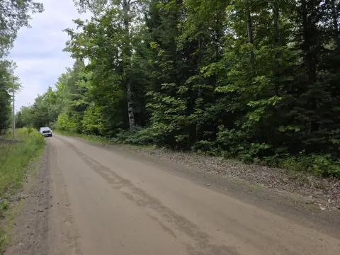 Wooded Rural Land Parcel