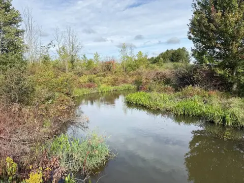 Creekside Hunting Land