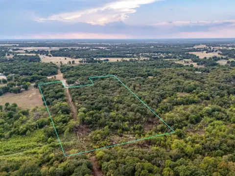 Wooded Hunting Land