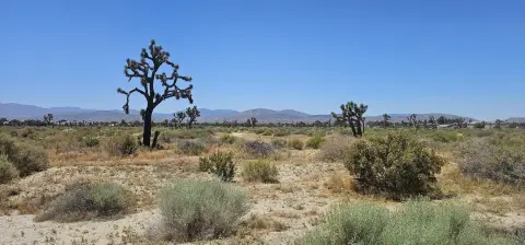 Palmdale Vacant Land Opportunity