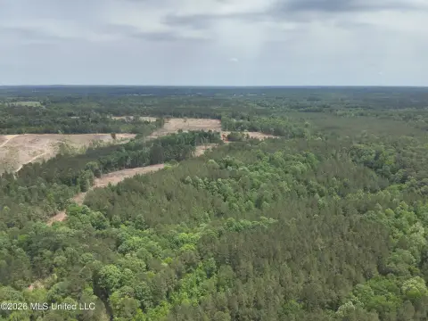 113 Acres in Smith County