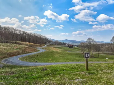 Morganton, GA Vacant Mountain Homesite