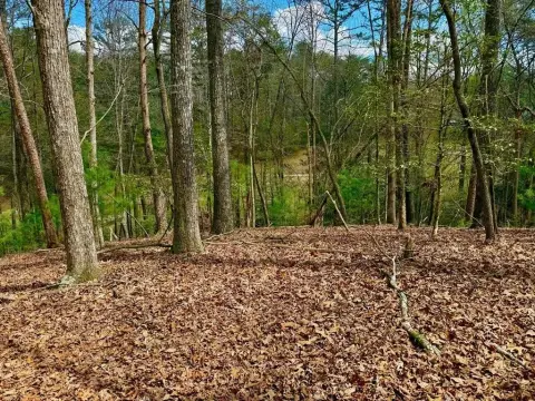 Ellijay Vacant Golf Course Lot