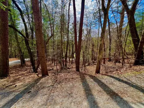 Ellijay Vacant Lot Opportunity