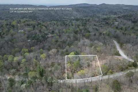 Ellijay Wooded Lot Near Carter's Lake