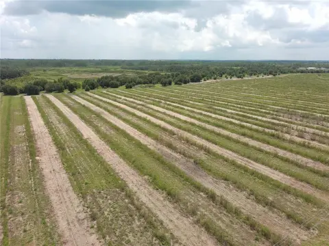Haines City Land with Potential