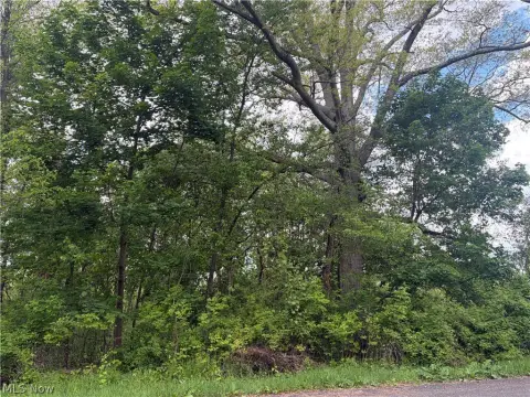 Akron, OH Buildable Lots