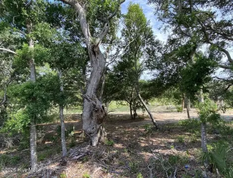 Bald Head Island Homesite