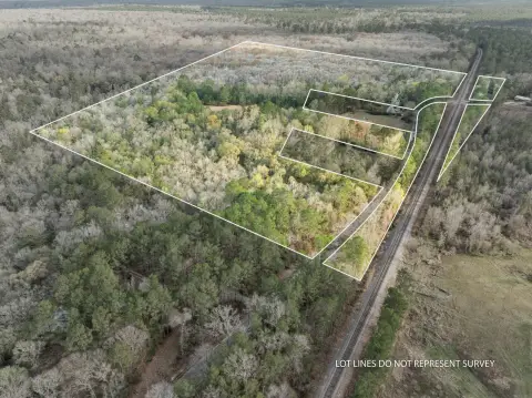 56 Acres Near National Forest