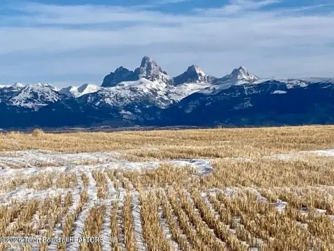 Acre Lot with Owner Financing