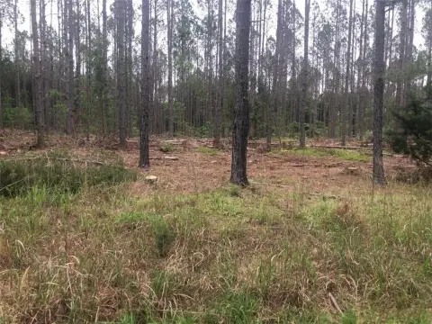 Residential Land in Iva, SC