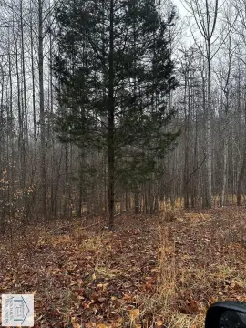 Land Parcel in Fieldale, Virginia