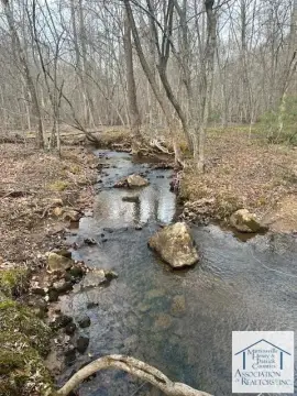 20 Acres with Water Features