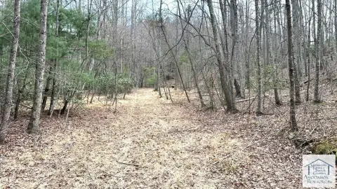 Secluded Land with Creek