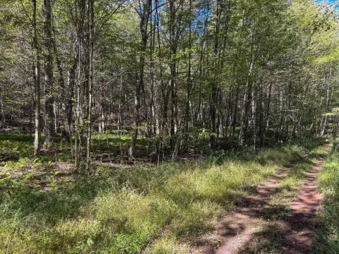 Mountain Hunting Land