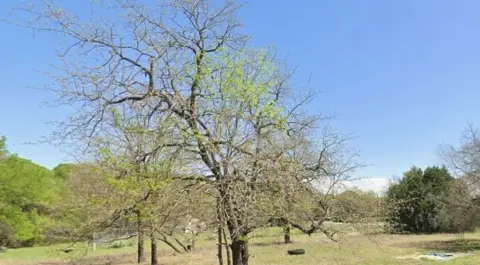Residential Land in Lake Granbury