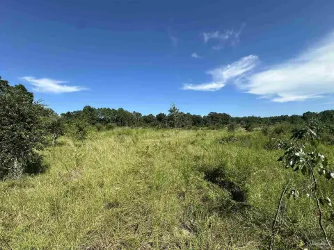 Acreage Land Tract