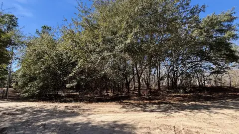 Elloree Land with Building Potential