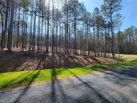 Ellijay Vacant Lot Ready to Build
