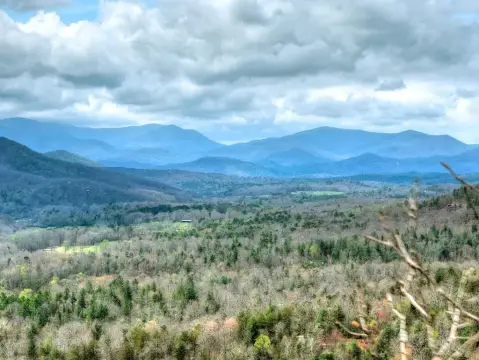 Morganton, GA Vacant Lot