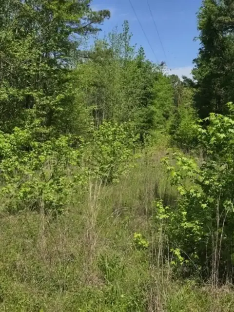 Residential Land in Tyler, Texas