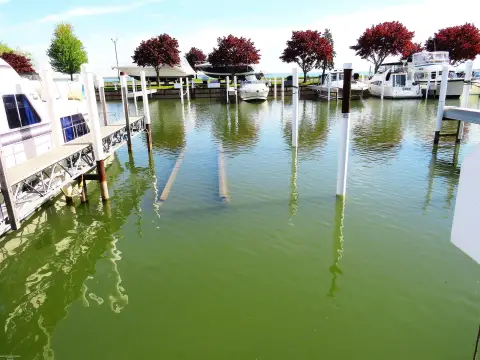 Dockominium Slip on Lake St. Clair