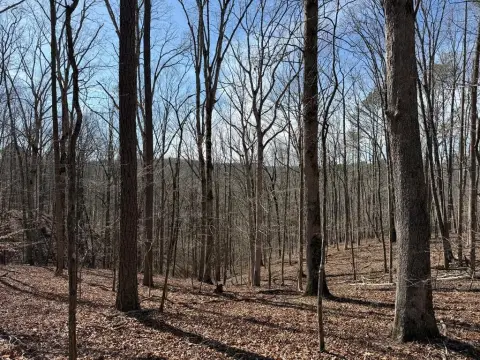 Mountainous Acreage with Buildable Ridges
