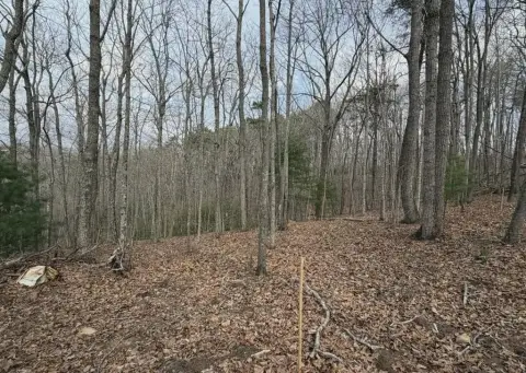Blue Ridge Homesite with Views