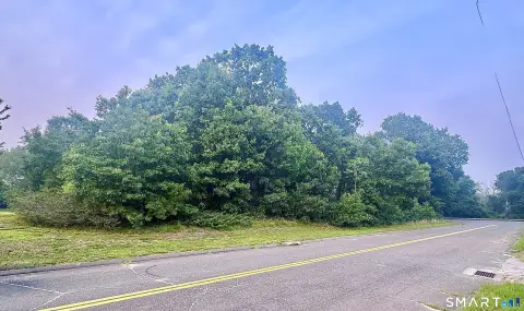 Commercial Land Parcel in CM1