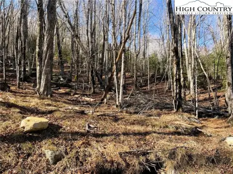 Elevated Recreational Lot