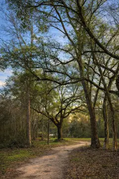 Picayune Acreage for Dream Home