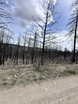 Bonanza, Oregon Land Parcel