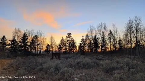 Redtail Cabin Lot in Driggs