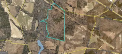 Timber and Farmland Tract