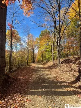 Hunting Land with Cabin