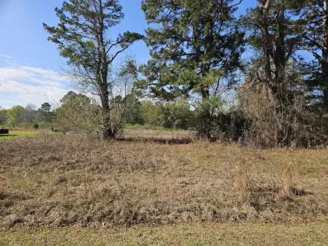 Cleared Lot in Summerton, SC