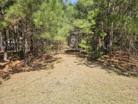 Summerton Land with Well & Septic