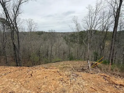 Coosawattee River Resort Vacant Lot