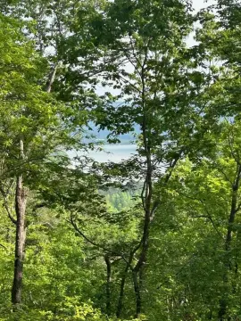 Ranger, GA Vacant Lot