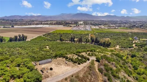 Coffee Orchard Agricultural Land