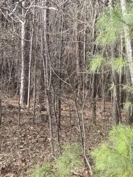 8.49 Acres Wooded Homesite