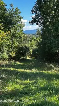 Wooded Hunting Land