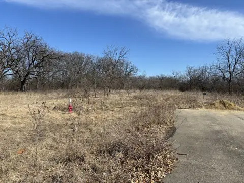 Two Contiguous Lots in Albany