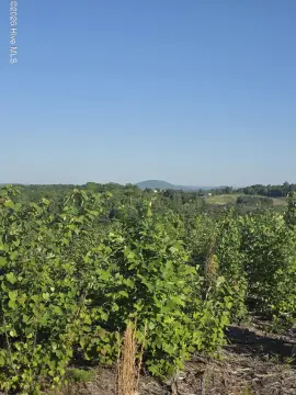 10 Acres in Asheboro, NC