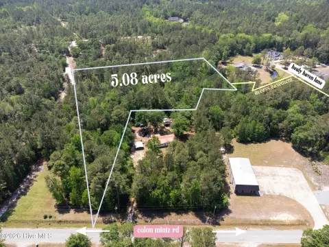 Leland Wooded Land Opportunity