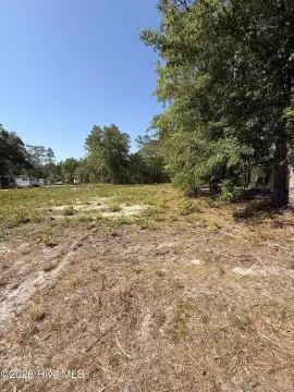 Land Near White Lake
