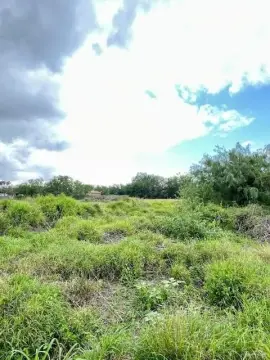Spacious Lot in Weslaco, TX