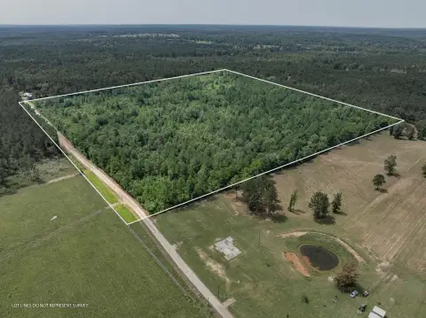 Acreage in Mount Olive, MS