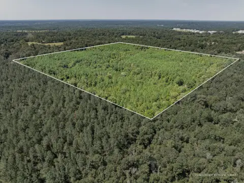 Undeveloped Land in Covington County